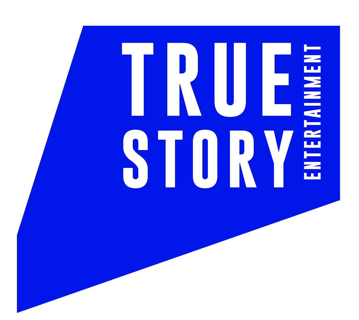 TSE Logo